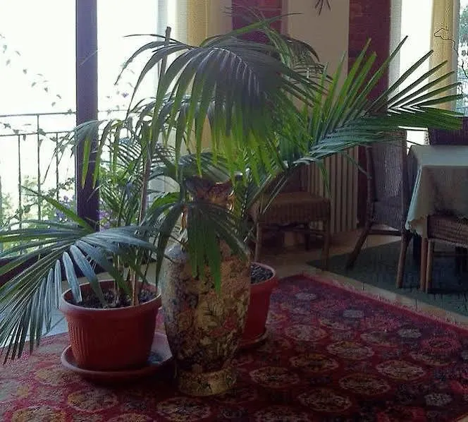 Hotel Villa San Giovanni Erice Ιταλία